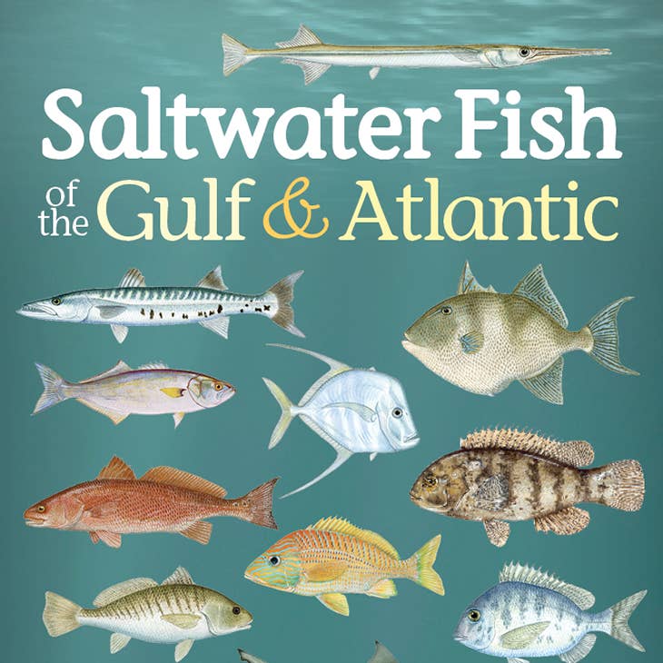 Saltwater Fish of the Gulf & Atlantic Playing Cards